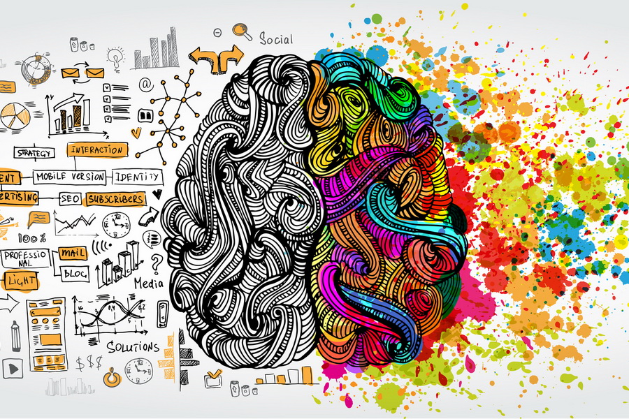 Left right human brain concept. Creative part and logic part with social and business doodle isolated on white background